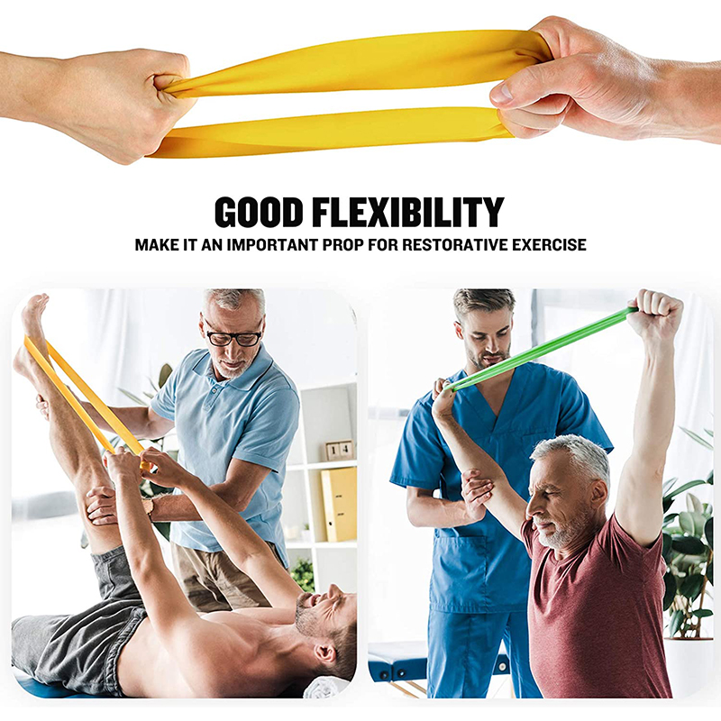 Resistance Bands Exercise Work - Home Gym Studio ulasan dan harga