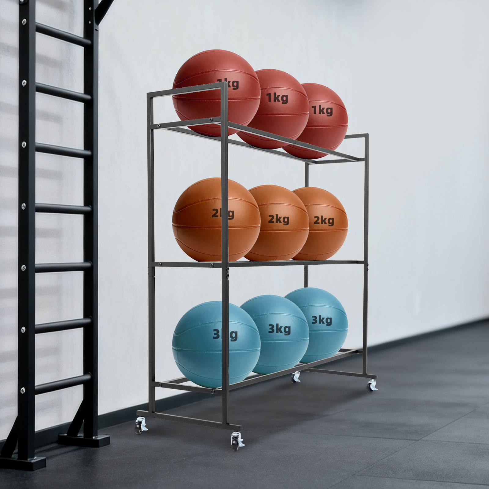 Yoga Ball Holder Storage Stand - Home Gym Studio ulasan dan harga